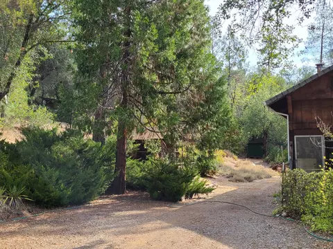 17516 Walker Mine Rd, Redding, CA 96003 photo 10