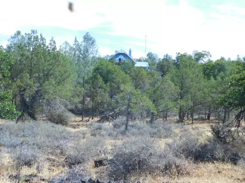 23375 Cinder Cone Rd, Fall River Mills, CA 96028 photo 44