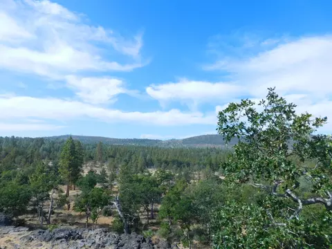 23375 Cinder Cone Rd, Fall River Mills, CA 96028 photo 32