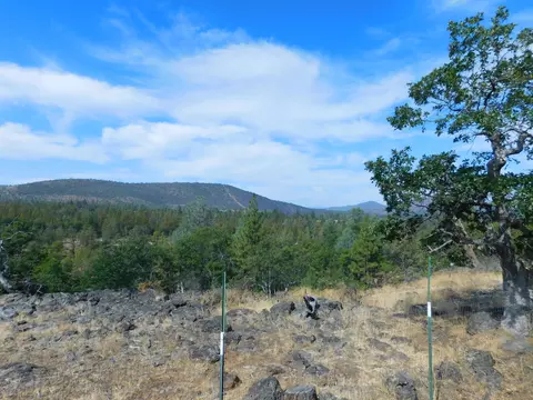 23375 Cinder Cone Rd, Fall River Mills, CA 96028 photo 16
