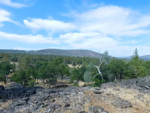 23375 Cinder Cone Rd, Fall River Mills, CA 96028 photo 42