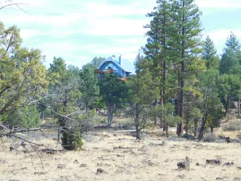 23375 Cinder Cone Rd, Fall River Mills, CA 96028 photo 18