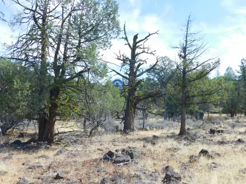 23375 Cinder Cone Rd, Fall River Mills, CA 96028 photo 45