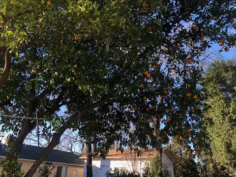 375 2nd St, Tehama, CA 96090 photo 20