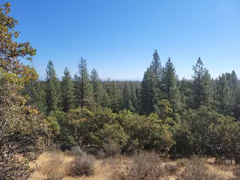 27358 Masac Ln, Fall River Mills, CA 96028 photo 3