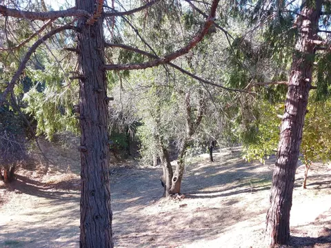 18318 View Point Dr, Anderson, CA 96007 photo 15