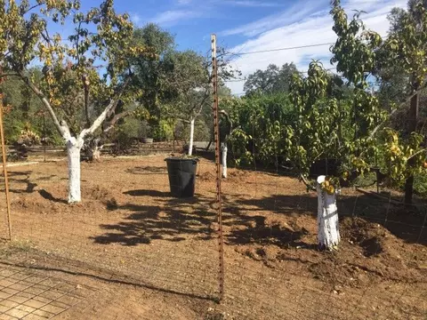 18318 View Point Dr, Anderson, CA 96007 photo 20