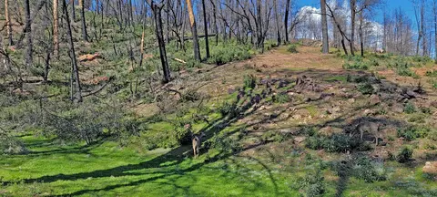 Tranquilo Ln, Redding, CA 96003 photo 5