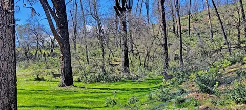 Tranquilo Ln, Redding, CA 96003 photo 3
