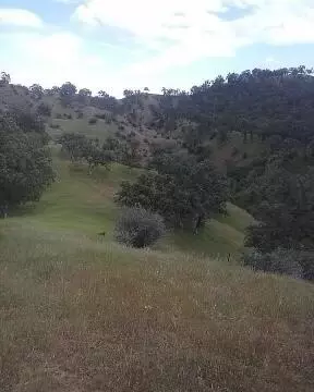 6835 S Fork Dr, Red Bluff, CA 96080 photo 20