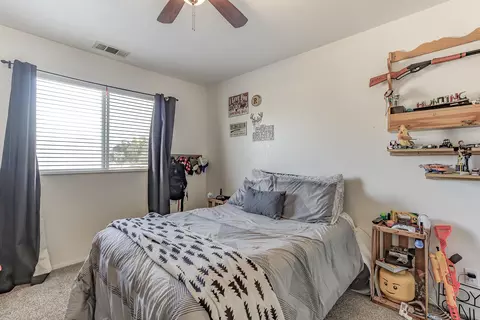 22412 Lone Tree Rd, Anderson, CA 96007 photo 23