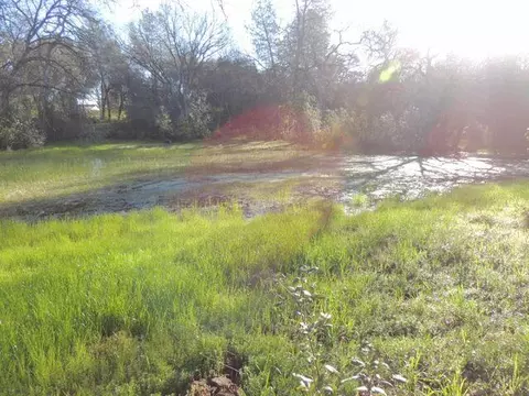 4429 Cynthia Way, Redding, CA 96002 photo 34
