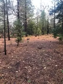 30162 Whitmore Rd, Whitmore, CA 96096 photo 18
