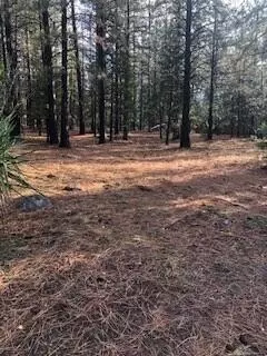 30162 Whitmore Rd, Whitmore, CA 96096 photo 20