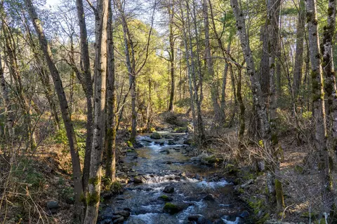 30260 Oak Run To Fern Rd, Whitmore, CA 96096 photo 58