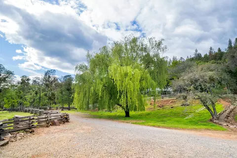 30260 Oak Run To Fern Rd, Whitmore, CA 96096 photo 11