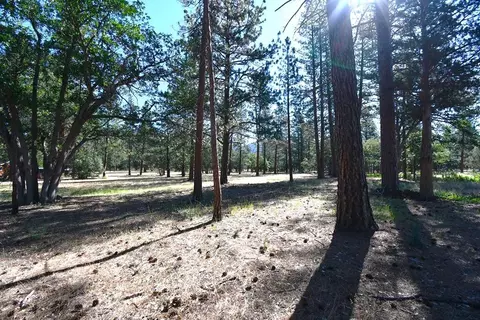 29077 Day Rd, Mcarthur, CA 96056 photo 57