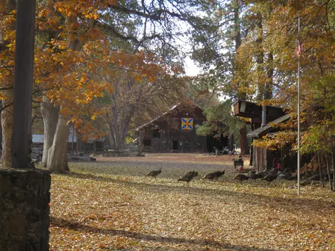 41019 Old School Rd, Fall River Mills, CA 96028 photo 6