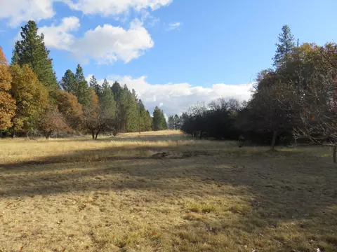 41019 Old School Rd, Fall River Mills, CA 96028 photo 68