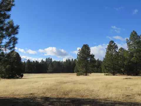 41019 Old School Rd, Fall River Mills, CA 96028 photo 65