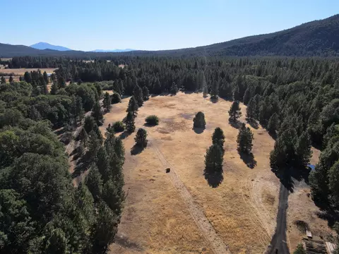 41019 Old School Rd, Fall River Mills, CA 96028 photo 60