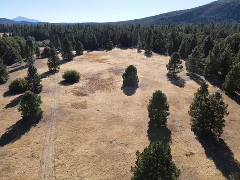 41019 Old School Rd, Fall River Mills, CA 96028 photo 66