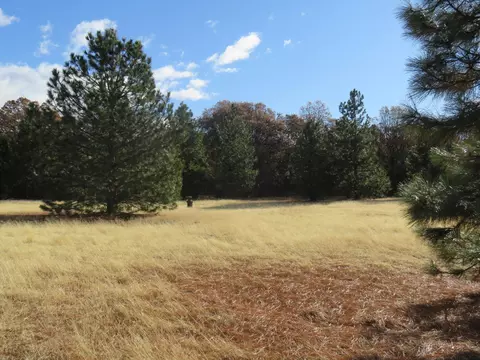 41019 Old School Rd, Fall River Mills, CA 96028 photo 63