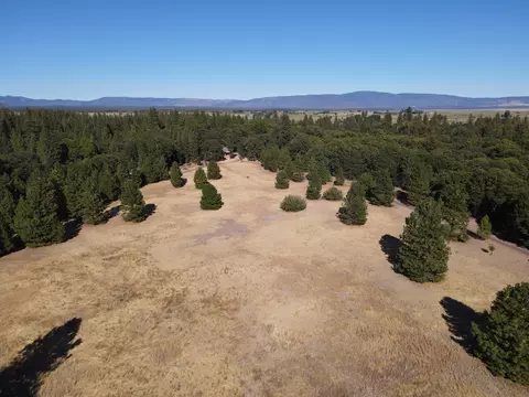 41019 Old School Rd, Fall River Mills, CA 96028 photo 64