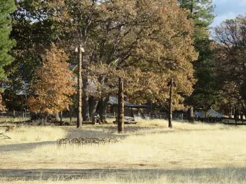 41019 Old School Rd, Fall River Mills, CA 96028 photo 57