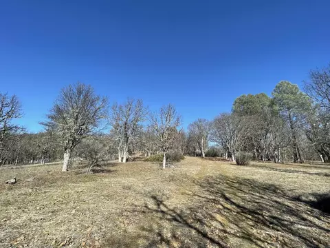 281 Garden Gulch Ln, Hayfork, CA 96041 photo 7