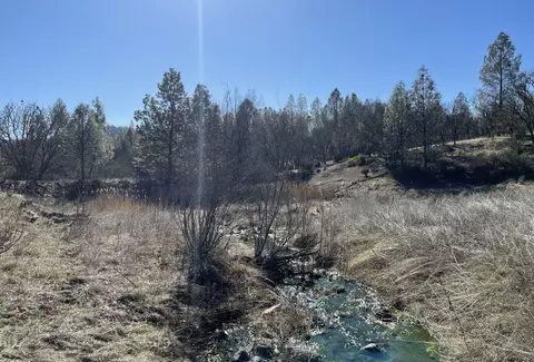 281 Garden Gulch Ln, Hayfork, CA 96041 photo 5