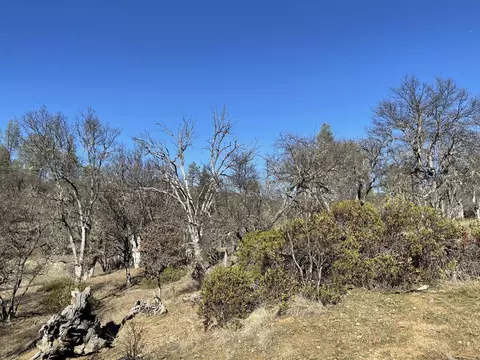 281 Garden Gulch Ln, Hayfork, CA 96041 photo 23