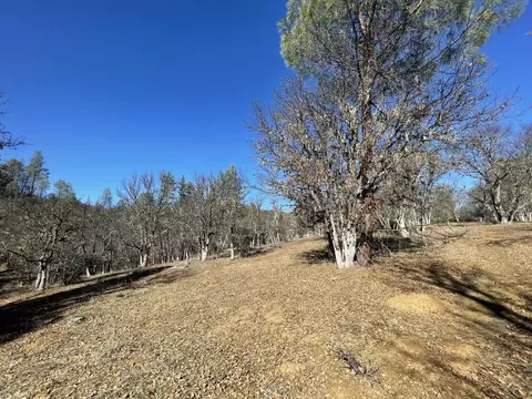 281 Garden Gulch Ln, Hayfork, CA 96041 photo 26