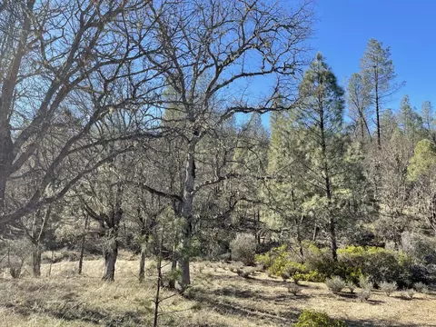 281 Garden Gulch Ln, Hayfork, CA 96041 photo 25