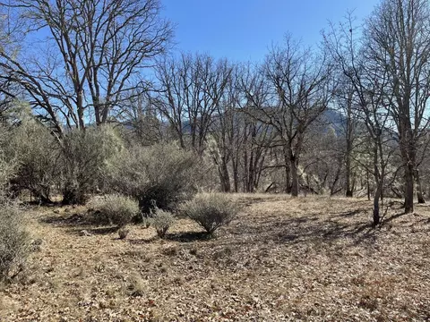 281 Garden Gulch Ln, Hayfork, CA 96041 photo 20
