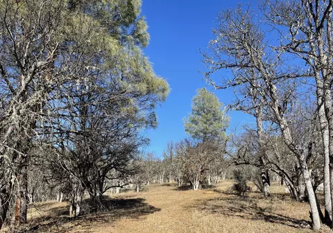 281 Garden Gulch Ln, Hayfork, CA 96041 photo 12