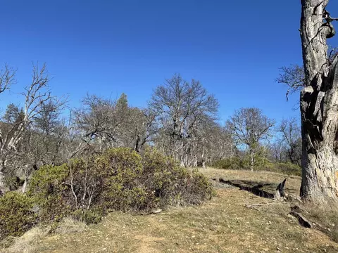 281 Garden Gulch Ln, Hayfork, CA 96041 photo 22