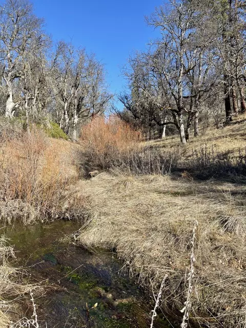 281 Garden Gulch Ln, Hayfork, CA 96041 photo 3