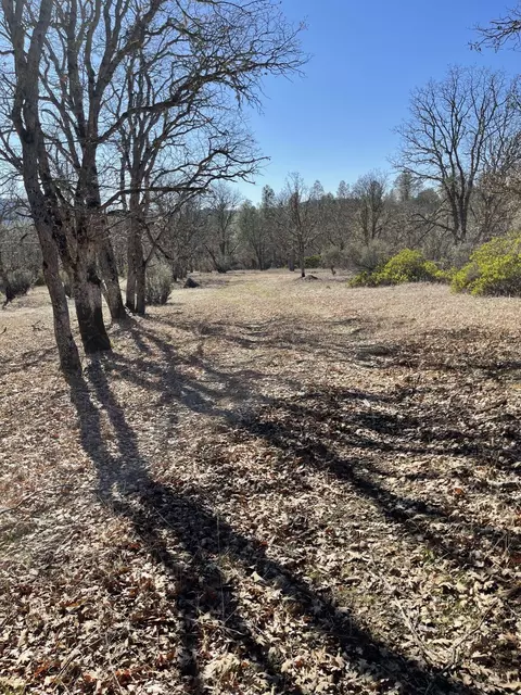 281 Garden Gulch Ln, Hayfork, CA 96041 photo 19
