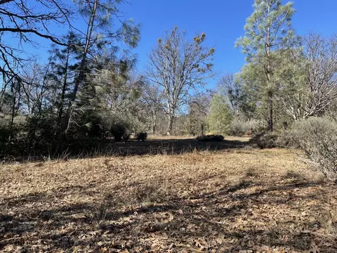 281 Garden Gulch Ln, Hayfork, CA 96041 photo 21