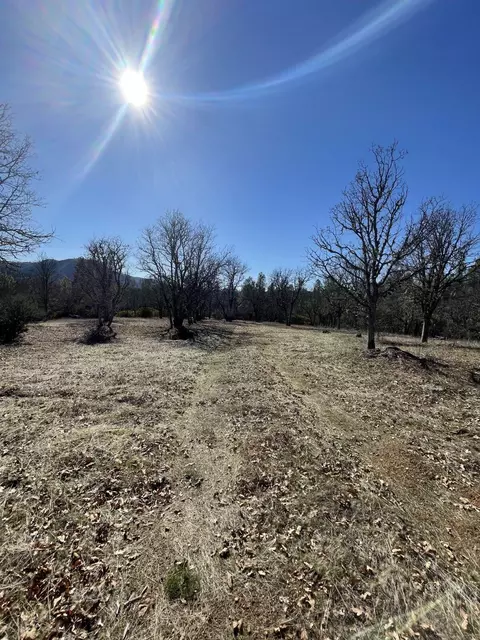 281 Garden Gulch Ln, Hayfork, CA 96041 photo 9