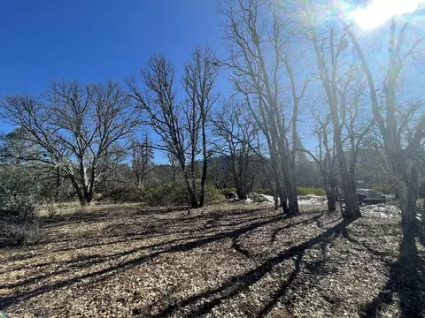 281 Garden Gulch Ln, Hayfork, CA 96041 photo 28