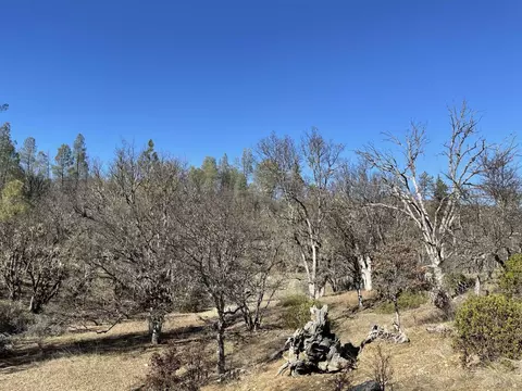 281 Garden Gulch Ln, Hayfork, CA 96041 photo 24