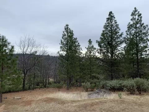 29218 Brush Patch Ln, Round Mountain, CA 96084 photo 13