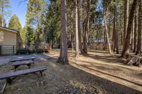 8003 Starlite Pines Rd, Shingletown, CA 96088 photo 42