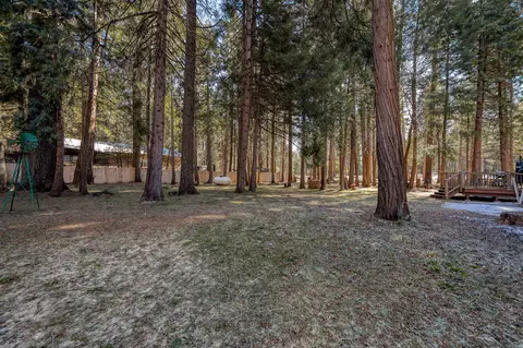 8003 Starlite Pines Rd, Shingletown, CA 96088 photo 48