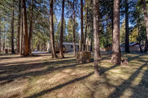 8003 Starlite Pines Rd, Shingletown, CA 96088 photo 43
