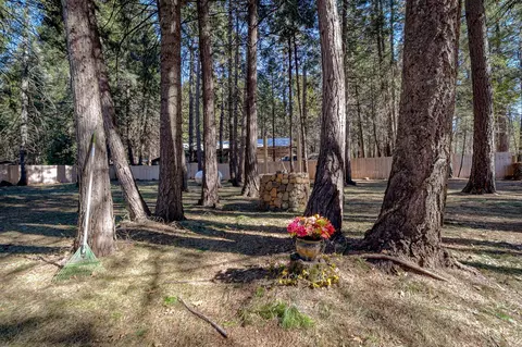 8003 Starlite Pines Rd, Shingletown, CA 96088 photo 49