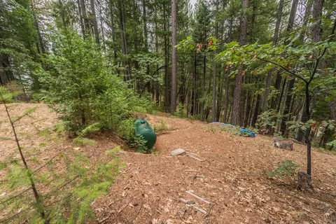 641 Boulder Lakes Trl, Coffee Creek, CA 96091 photo 30
