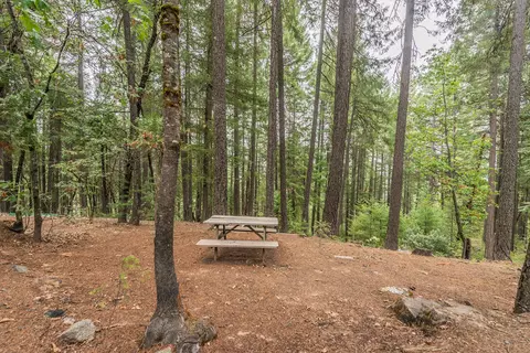 641 Boulder Lakes Trl, Coffee Creek, CA 96091 photo 23